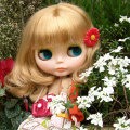 �ڥ�����ȥߡ��ۥ֥饤�� SHOP���ꥫ�����ڥ����ѥ���