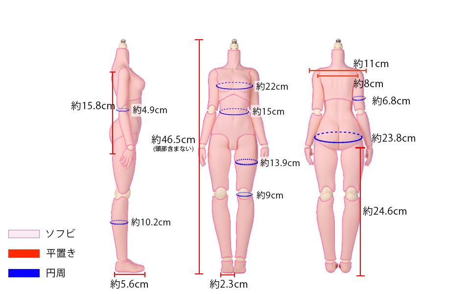 【オビツ】50BD-GGRW-G 50cmオビツボディ Ver1.5 GGR50　ホワイティ