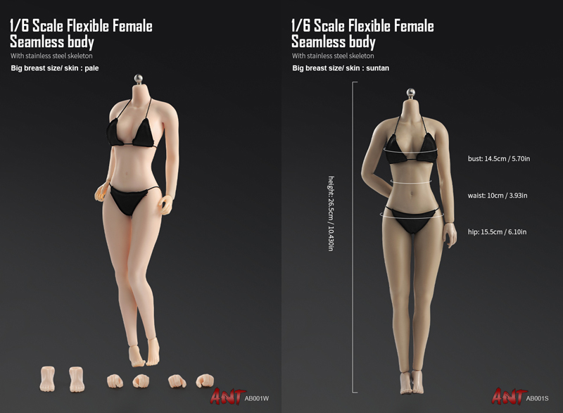 【ANT】AB001W / AB001S 1/6 Flexible Female Seamless Body Big Breast Size