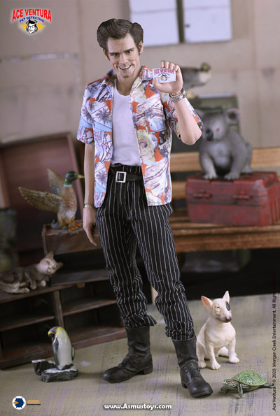 【ASMUS TOYS】ACE01 1/6 Pet Detective series: Ace Ventura 『エース・ベンチュラ』 エース・ベンチュラ 1/6スケールフィギュア