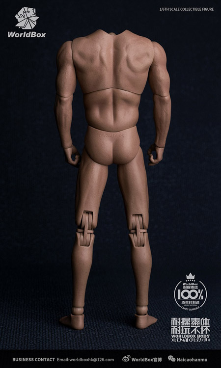 WorldBox】AT-017 DURABLE BODY 1/6スケール 男性ボディ素体