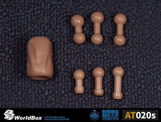 【WorldBox】AT020S 1/6 one-piece forearm of the body 汎用男性素体 1/6スケール 男性ボディ素体