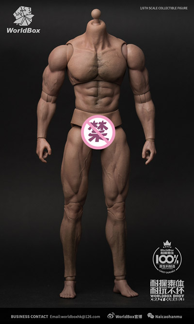 【WorldBox】AT027 1/6 Durable Body - Ripped 筋骨隆々 1/6スケール 男性ボディ素体