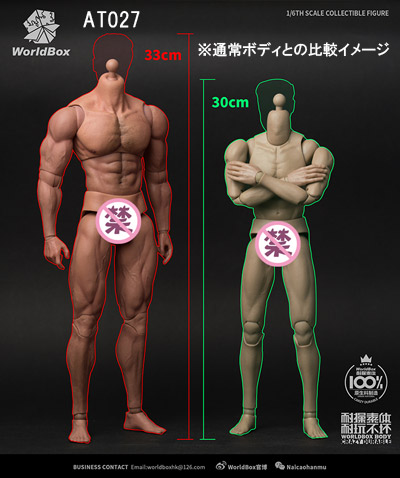 【WorldBox】AT027 1/6 Durable Body - Ripped 筋骨隆々 1/6スケール 男性ボディ素体