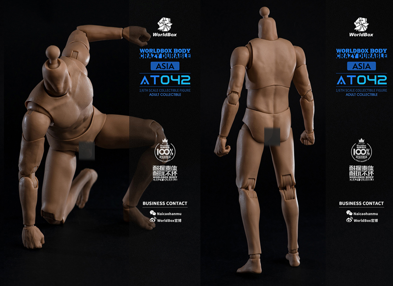 【WorldBox】AT042 1/6 Durable Body アジア系 1/6スケール 男性ボディ素体 デッサン人形