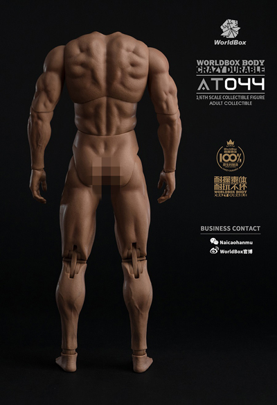 【WorldBox】AT044 1/6 Durable Body 1/6スケール 男性ボディ素体 デッサン人形