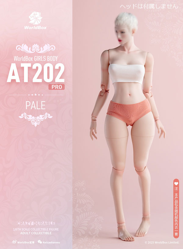 【WorldBox】AT202PRO 1/6 Girl Body ガールボディ 1/6スケール 女性ボディ素体 デッサン人形