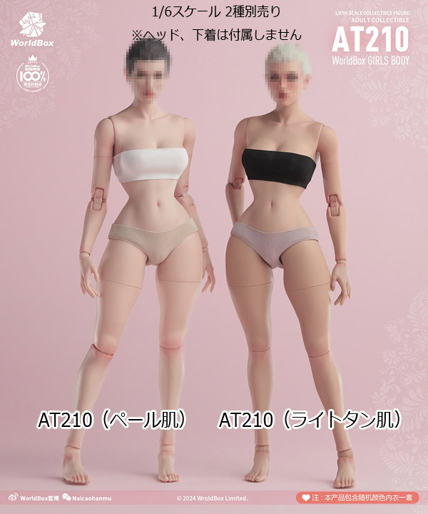 【WorldBox】AT210 1/6 Girl Body ガールボディ ワスプウエスト 1/6スケール 女性ボディ素体 デッサン人形