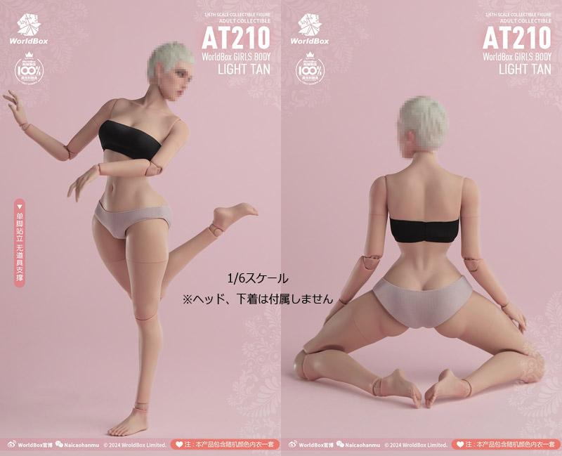 【WorldBox】AT210 1/6 Girl Body ガールボディ ワスプウエスト 1/6スケール 女性ボディ素体 デッサン人形