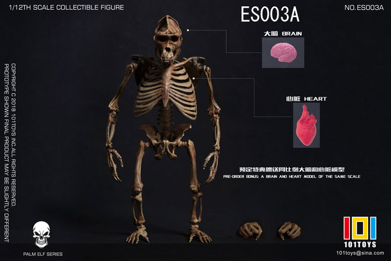 【101TOYS】ES003A/ES004A 1/12 GORILLA/TOOTHED TIGER Skeleton FRAME BODY -Original color version