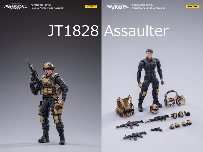 【JOYTOY】JT1804, JT1811 or JT1828 1/18 PAP 中国人民武装警察部隊 1/18スケールフィギュア