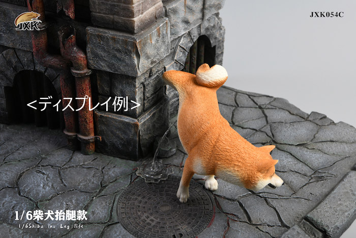 【JxK.Studio】JXK054ABC shiba inu Leg Lift 1/6スケール 柴犬 イヌ