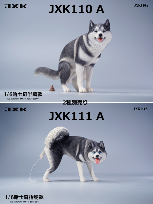 【JxK.Studio】JXK110A/JXK111A 1/6 Siberian Husky 1/6スケール シベリアン・ハスキー 犬 イヌ