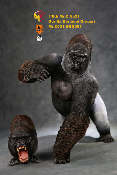 【MR.Z】MRZ031-GBG001 Gorilla Beringei Graueri 1/6スケール グラウアーゴリラ （黒） 探検おでかけセット