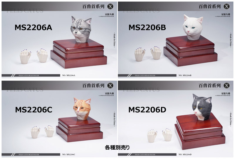 【Mostoys】MS2206 A/B/C/D 1/6 Cat Head 猫 ネコ イエネコ 1/6スケール 動物ヘッド