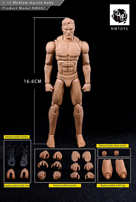 【NWToys】NW002 1/12 Medium Muscle Strong Male Body  1/12 コミック スーパーヒーローボディ アクションフィギュア ミディアム