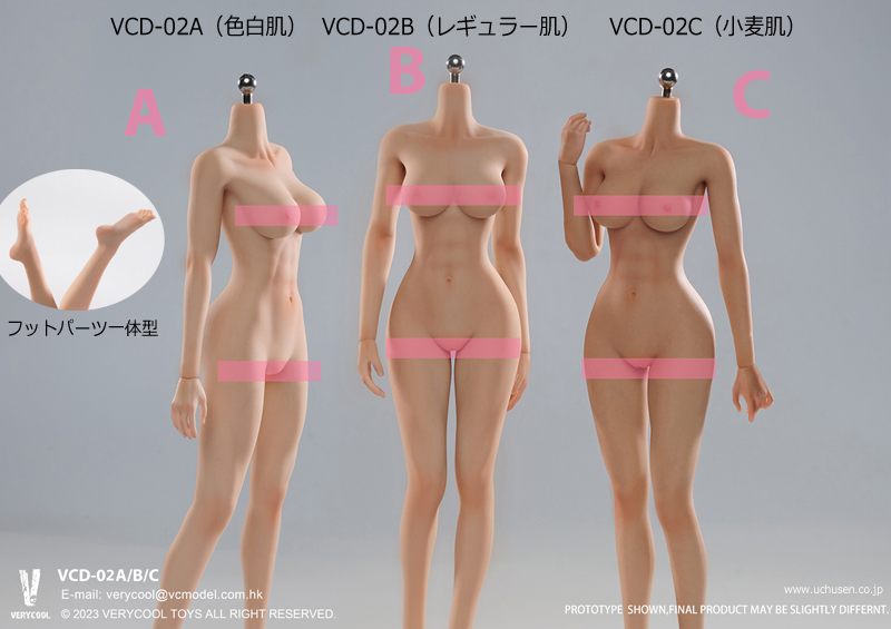 【VeryCool】BODY NO.1 VCD-01 / BODY NO.2 VCD-02 ABC 1/6 medium chest Standard universal women silicone body