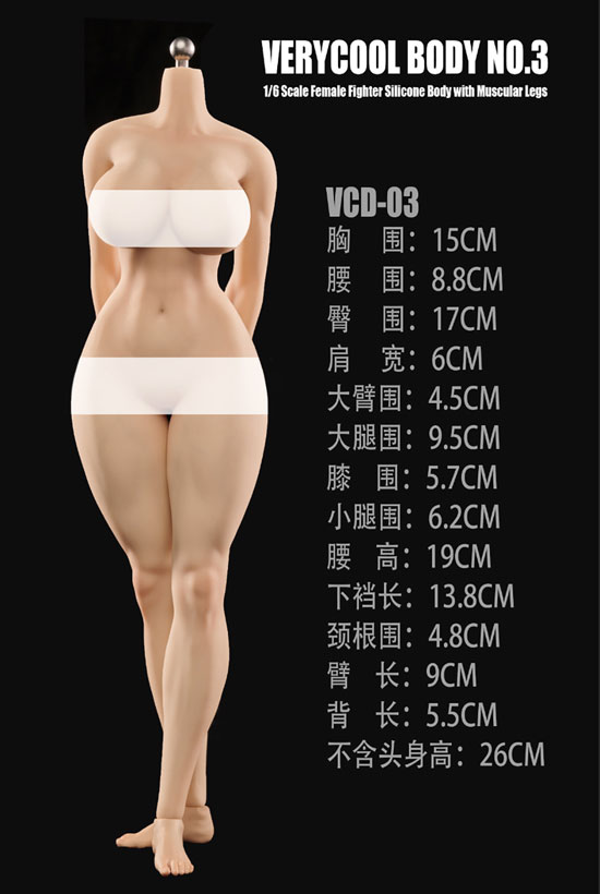 【VeryCool】BODY NO.3 VCD-03 ABC 1/6  Silicone Female Body 1/6スケール シームレス女性ボディ素体  デッサン人形（ヘッドなし）