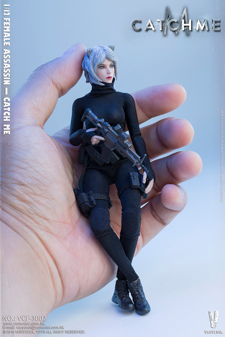 【VeryCool】VCF-3002 1/12 Palm Treasure Series — Female Assassin 