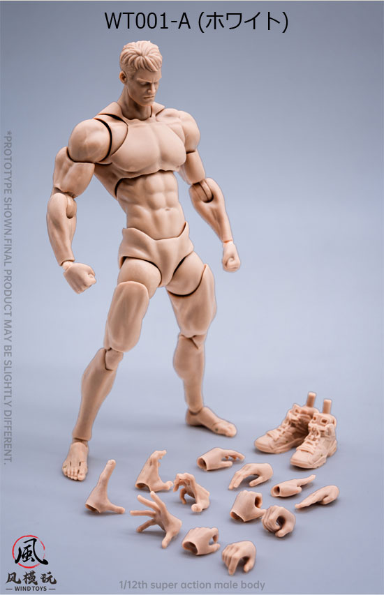 【WindToys】WT001-A / WT001-B / WT001-C 1/12 超可動男性素体 フィギュアボディ デッサン人形 1/12スケールフィギュア 男性ボディ素体