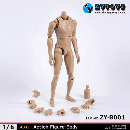 【ZYTOYS】ZY-B001 ナローショルダー 1/6スケール 男性ボディ素体 デッサン人形