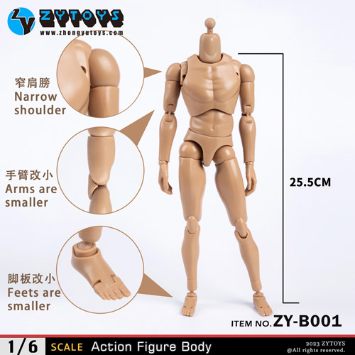 【ZYTOYS】ZY-B001 ナローショルダー 1/6スケール 男性ボディ素体 デッサン人形
